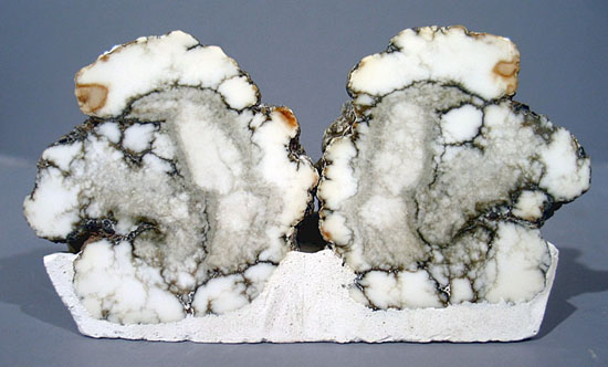 Howlite cut in half