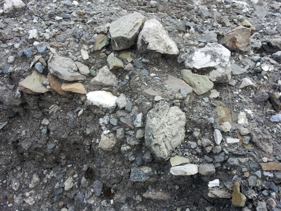 Howlite found in the dump material of the Stearling Borax Mine