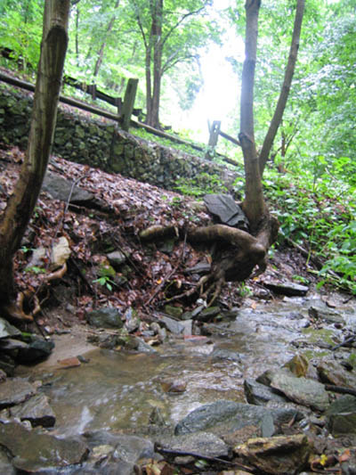 down by the wissahickon creek