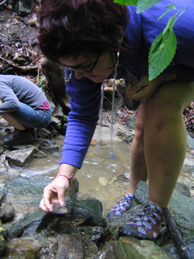 flipping over rocks at the wissahickon creek