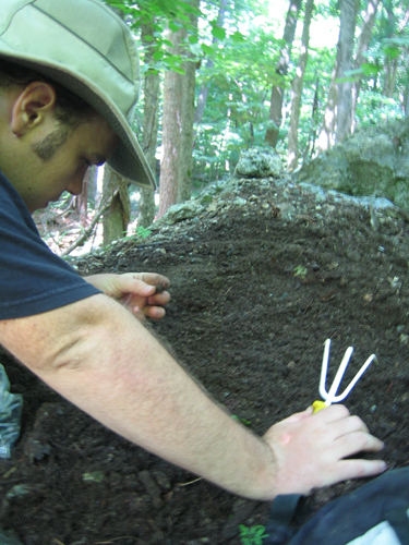 Selleck Road Tremolite Collecting