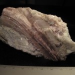 ‘curved’ Rubellite tourmaline crystal in Cleavelandite