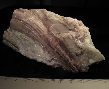 ‘curved’ Rubellite tourmaline crystal in Cleavelandite