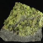 Peridot Grains in a Volcanic Bomb of basalt