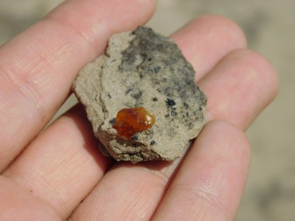 A nice sized piece of gem amber on clay matrix, with lignite. Fresh harvest. 