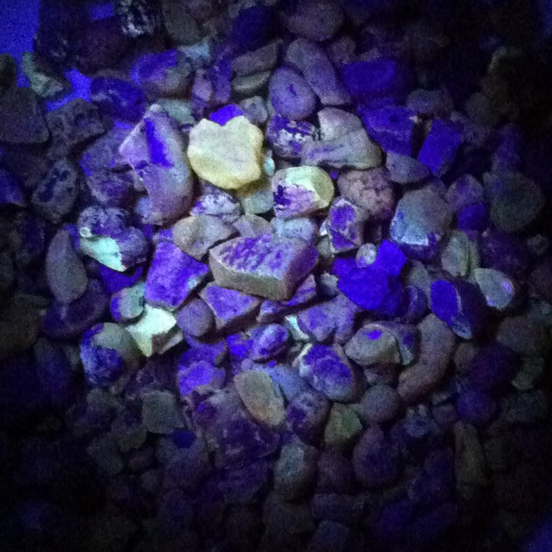 sayerville_new_jersey_amber_in_uv_light - Where to Rocks