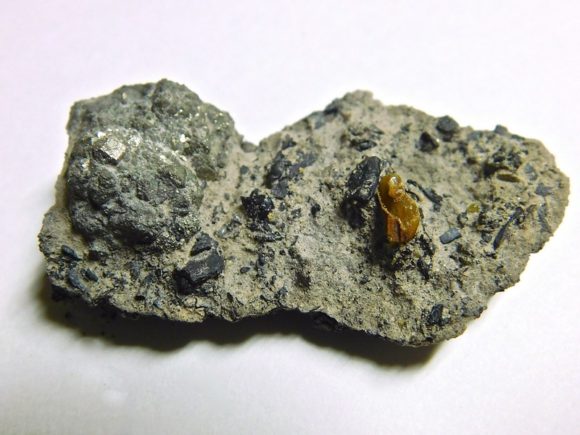 The Good, The Bad and The Ugly: Amber, Pyrite and Lignite in one specimen. With some careful transport tactics, examples like this can be preserved. 