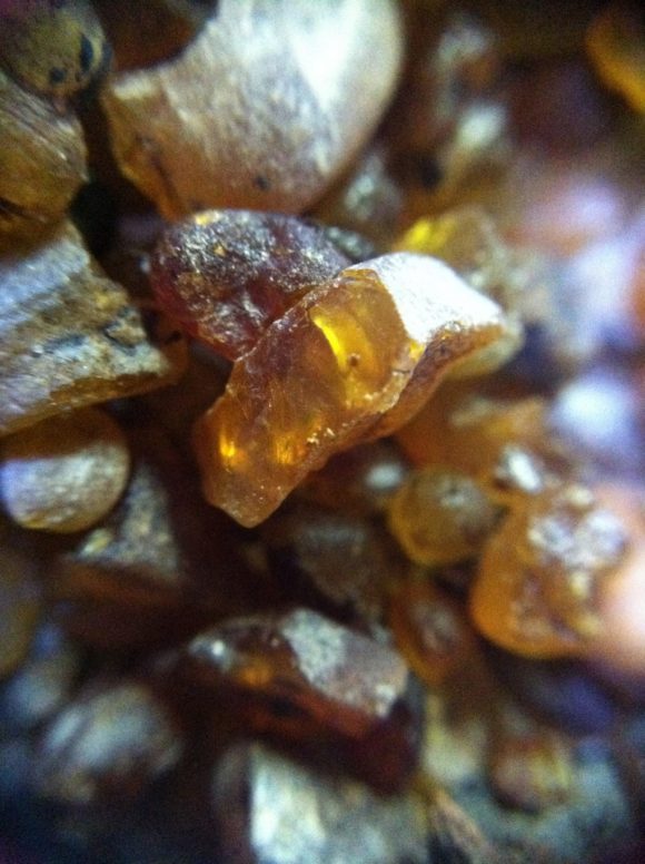 Closeup of the amber. 