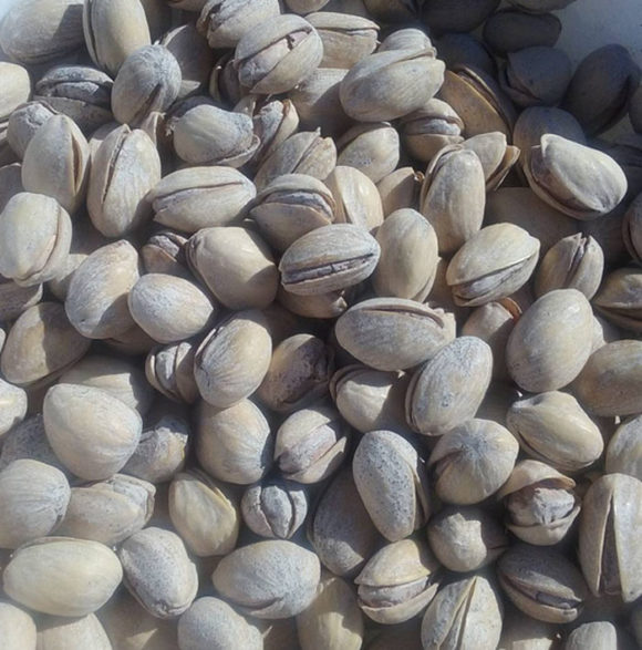 Lightly salted, lightly roasted, pistachio seeds in shell - ready to be delivered to you!