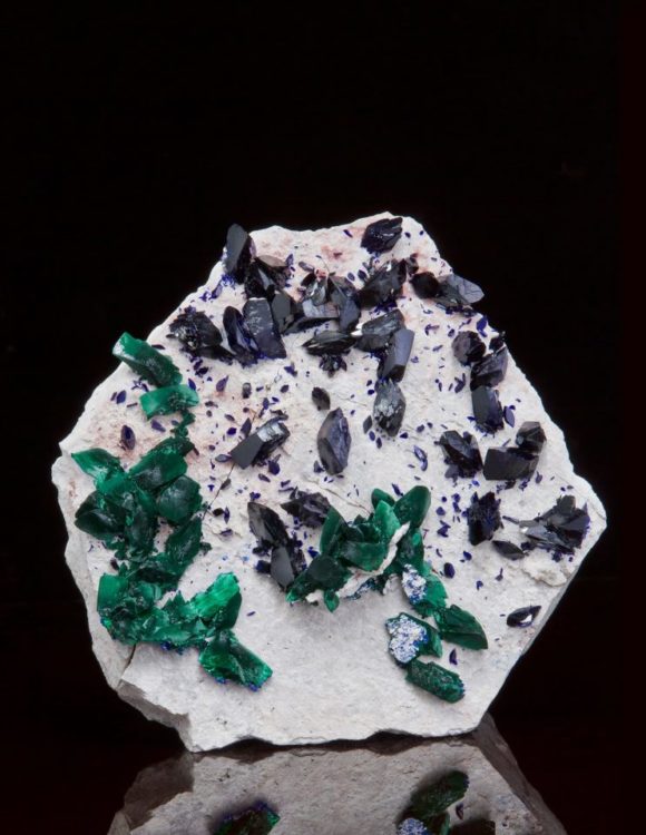 This photo features a bright white plate of matrix hosting dozens of crystals of beautiful dark blue azurite and bright green malachite that is replacing some of the azurite