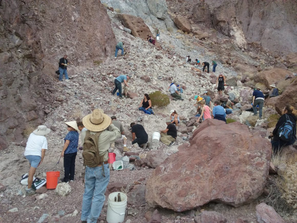 Many People on a Mineral Collecting Trip