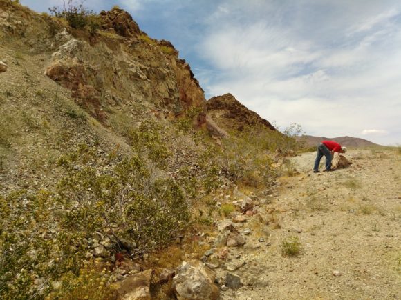 Justin Zzyzx inspecting boulders at the Noble Prospect.