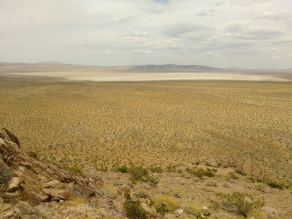 View looking out to Coyote Dry Lake from the un-named Nickel deposit