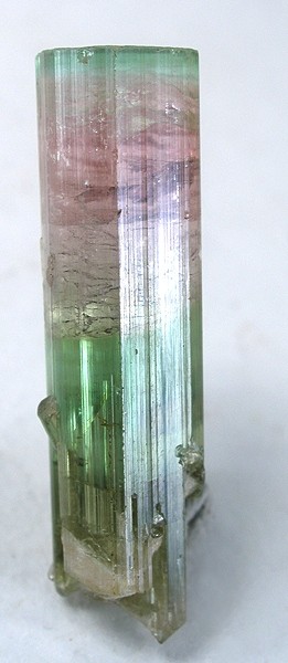 Elbaite - a gemmy crystal showing greens and pinks - 3.9cm tall - photograph from Rob Lavinsky, iRocks.com