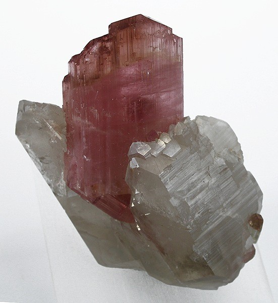 Elbaite on Quartz - 6.0 cm - photograph from Rob Lavinsky, iRocks.com