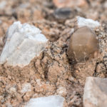 Pecos Valley Diamond in situ