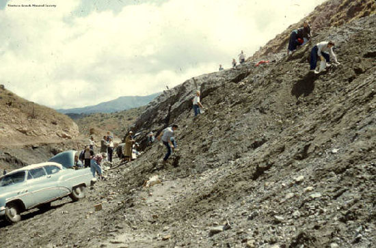 Mineral Club collecting at Tick Canyon in 1957