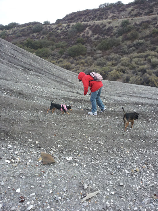 Brandy Zzyzx collecting Howlite in Tick Canyon